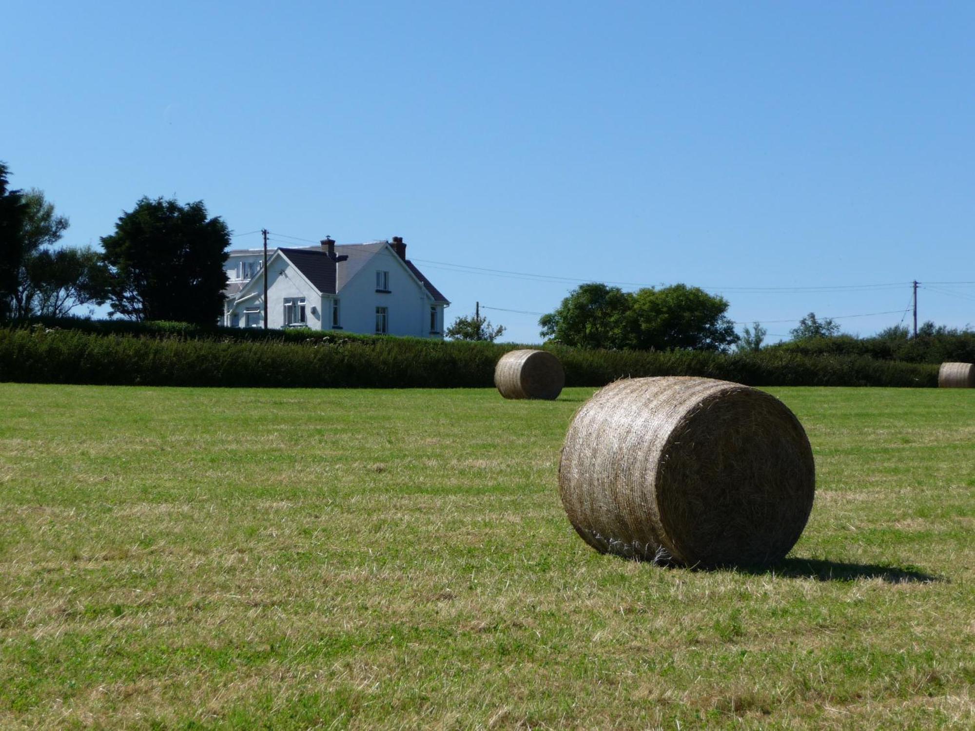 Country house High Ways House Woolacombe
